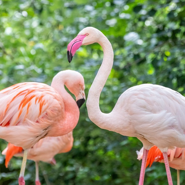 Tours for people with dementia