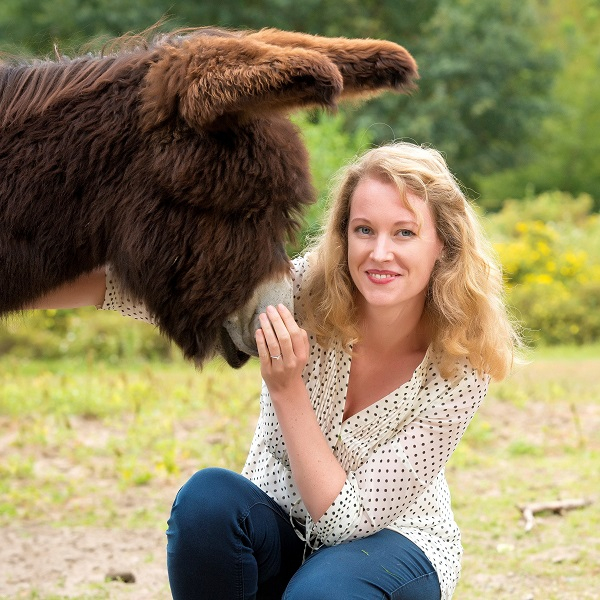 Animal encounter - Baudet du Poitou