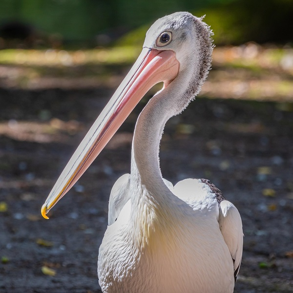 Sensory tours for adults