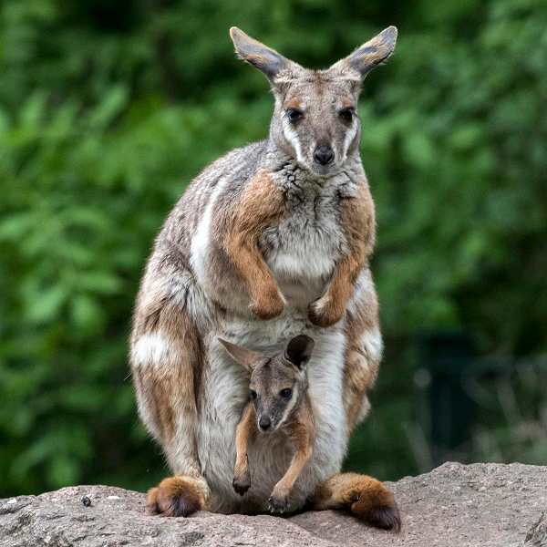 Sensory tours for children